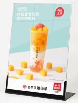Acrylic Display Stand A5